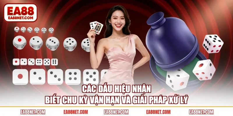 Các dấu hiệu nhận biết chu kỳ vận hạn và giải pháp xử lý