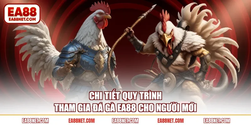 Chi tiết quy trình tham gia đá gà EA88 cho người mới